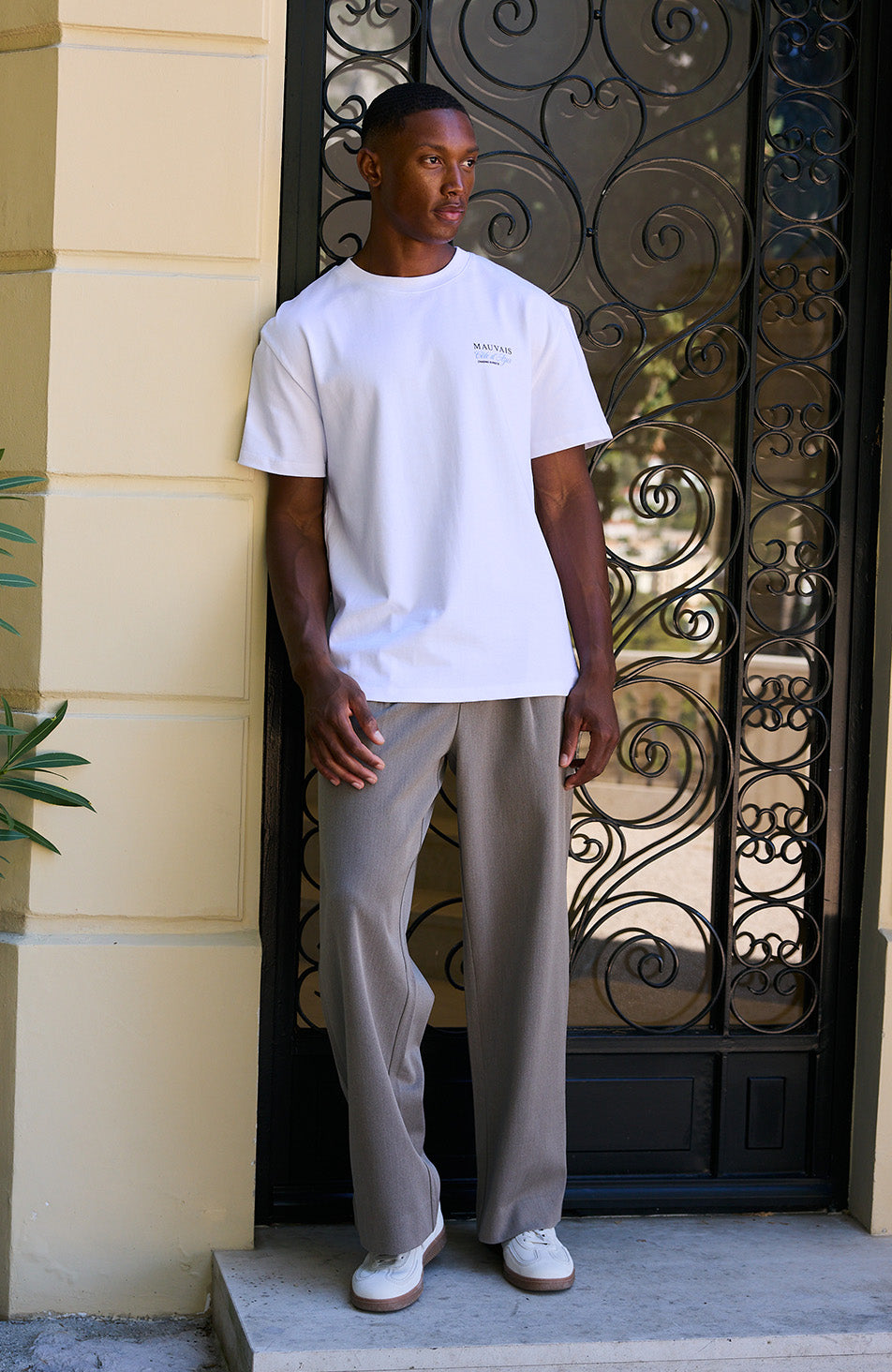 Como Relaxed Fit Pleated Tailored Pants in Taupe